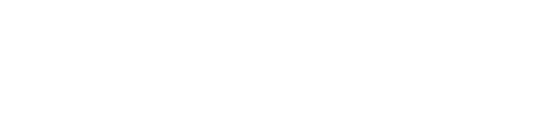 Flik Blog